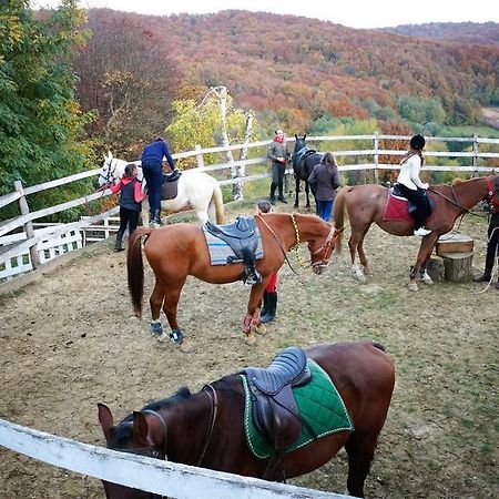 Country House Na Malenom Brijegu Belovár Kültér fotó