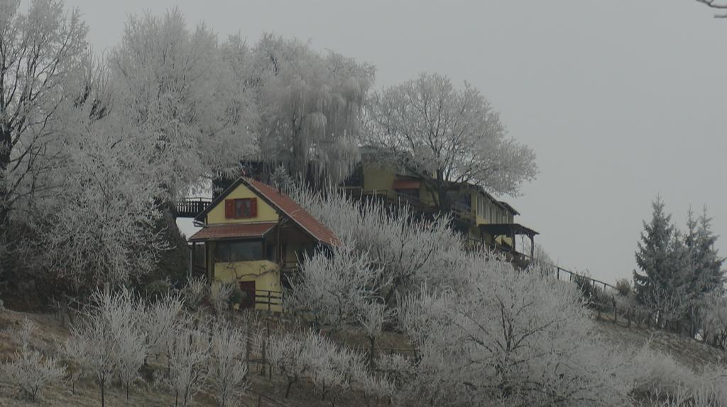 Country House Na Malenom Brijegu Belovár Kültér fotó